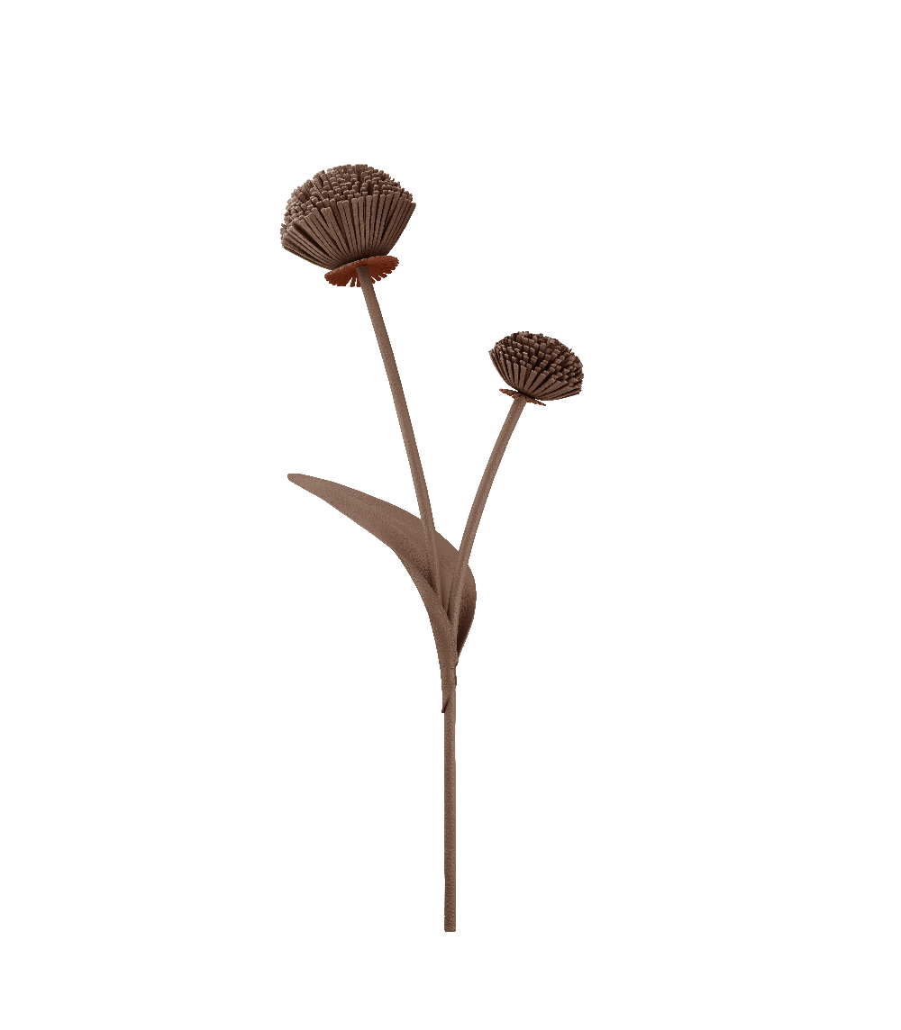 Fiore Tul - Radice